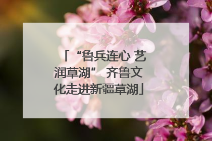“鲁兵连心 艺润草湖” 齐鲁文化走进新疆草湖