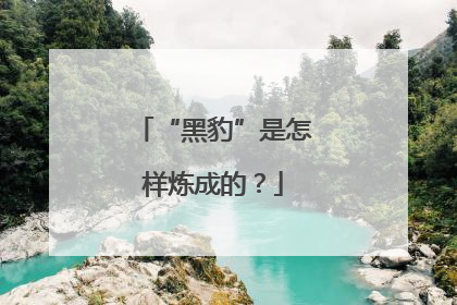 “黑豹”是怎样炼成的？