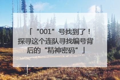 “001”号找到了！探寻这个连队寻找编号背后的“精神密码”
