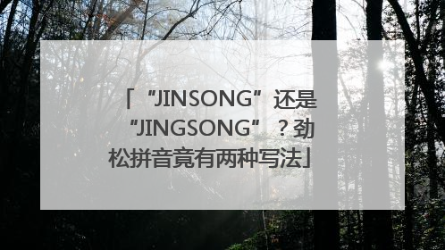 “JINSONG”还是“JINGSONG”？劲松拼音竟有两种写法