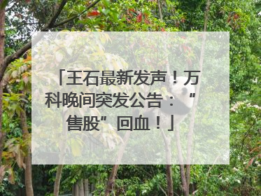 王石最新发声！万科晚间突发公告：“售股”回血！
