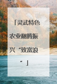 灵武特色农业翻腾振兴“致富浪”