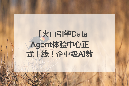 火山引擎Data Agent体验中心正式上线！企业级AI数据专家触手可及