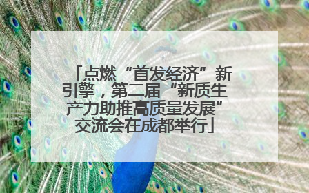 点燃“首发经济”新引擎，第二届“新质生产力助推高质量发展”交流会在成都举行