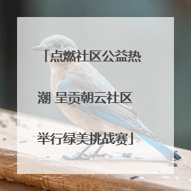 点燃社区公益热潮 呈贡朝云社区举行绿美挑战赛
