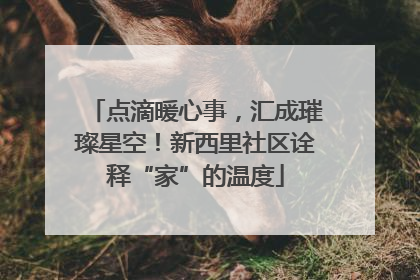 点滴暖心事，汇成璀璨星空！新西里社区诠释“家”的温度