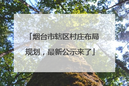 烟台市辖区村庄布局规划，最新公示来了