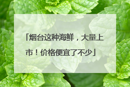 烟台这种海鲜，大量上市！价格便宜了不少