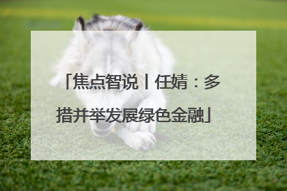 焦点智说丨任婧：多措并举发展绿色金融