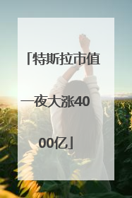 特斯拉市值一夜大涨4000亿