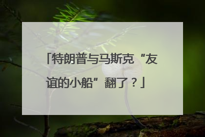 特朗普与马斯克“友谊的小船”翻了？