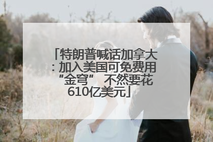 特朗普喊话加拿大：加入美国可免费用“金穹” 不然要花610亿美元