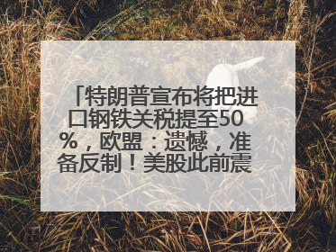 特朗普宣布将把进口钢铁关税提至50%，欧盟：遗憾，准备反制！美股此前震荡，机构：美元正进入熊市