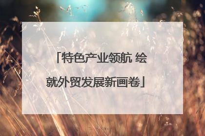 特色产业领航 绘就外贸发展新画卷