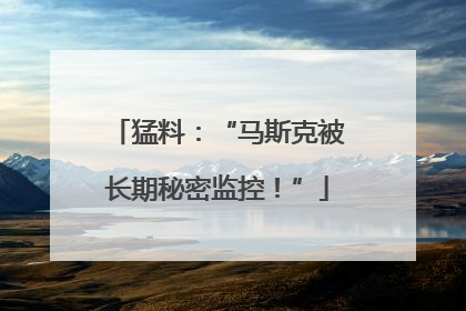 猛料：“马斯克被长期秘密监控！”