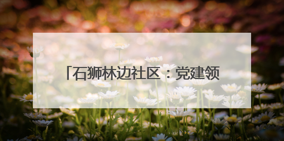 石狮林边社区：党建领航织就“平安霞光”