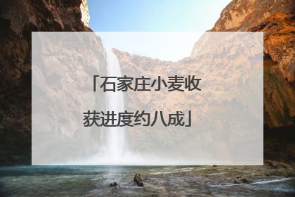 石家庄小麦收获进度约八成