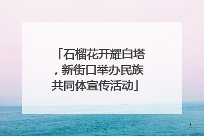 石榴花开耀白塔，新街口举办民族共同体宣传活动