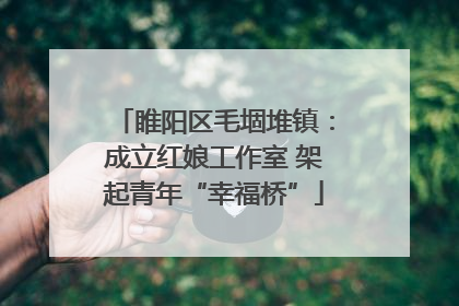 睢阳区毛堌堆镇：成立红娘工作室 架起青年“幸福桥”