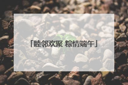 睦邻欢聚 粽情端午