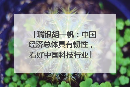 瑞银胡一帆：中国经济总体具有韧性，看好中国科技行业