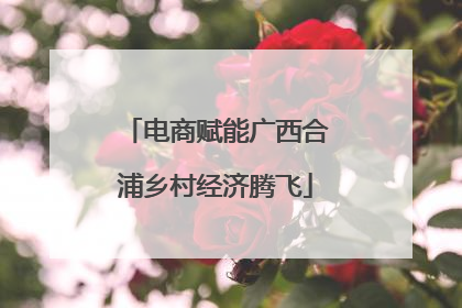 电商赋能广西合浦乡村经济腾飞