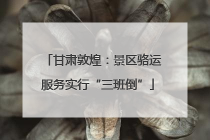 甘肃敦煌：景区骆运服务实行“三班倒”