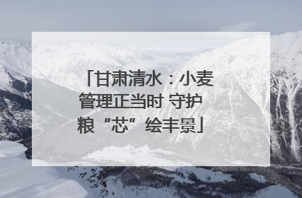 甘肃清水：小麦管理正当时 守护粮“芯”绘丰景