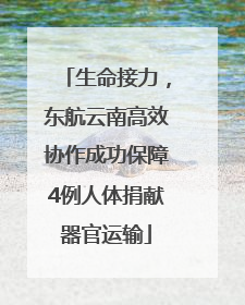 生命接力，东航云南高效协作成功保障4例人体捐献器官运输