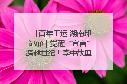 百年工运 湖南印记⑧｜觉醒“宣言”跨越世纪！李中故里的红色陈列