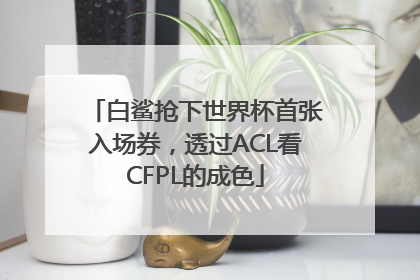 白鲨抢下世界杯首张入场券，透过ACL看CFPL的成色