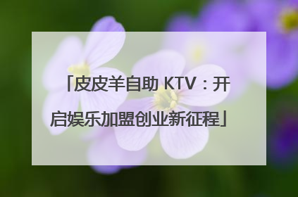 皮皮羊自助 KTV：开启娱乐加盟创业新征程