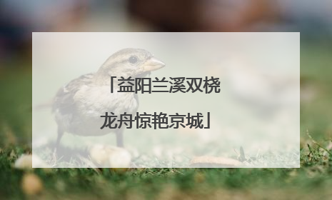 益阳兰溪双桡龙舟惊艳京城