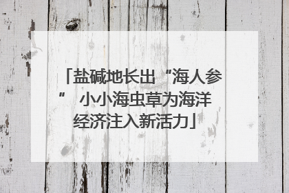 盐碱地长出“海人参” 小小海虫草为海洋经济注入新活力