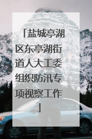 盐城亭湖区东亭湖街道人大工委组织防汛专项视察工作