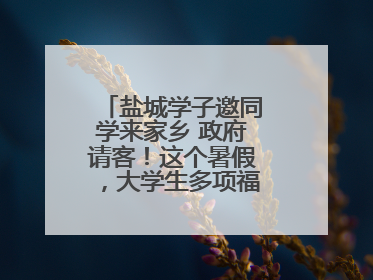 盐城学子邀同学来家乡 政府请客！这个暑假，大学生多项福利免费游盐城