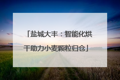 盐城大丰：智能化烘干助力小麦颗粒归仓