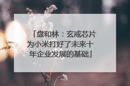 盘和林：玄戒芯片为小米打好了未来十年企业发展的基础