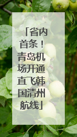 省内首条！青岛机场开通直飞韩国清州航线
