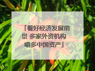 看好经济发展前景 多家外资机构唱多中国资产