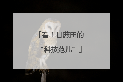 看！甘蔗田的“科技范儿”