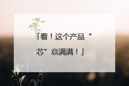 看！这个产品“芯”意满满！