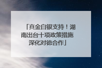真金白银支持！湖南出台十项政策措施深化对德合作