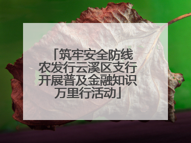 筑牢安全防线 农发行云溪区支行开展普及金融知识万里行活动