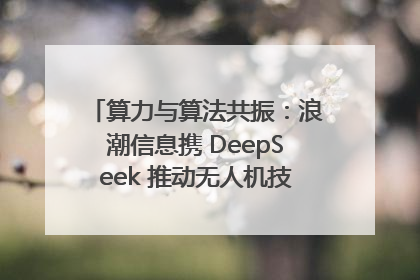 算力与算法共振：浪潮信息携 DeepSeek 推动无人机技术在舟山落地