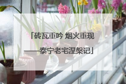 砖瓦重吟 烟火重现——泰宁老宅涅槃记