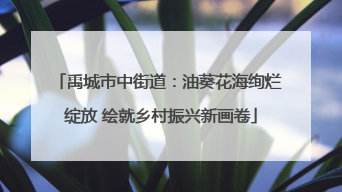 禹城市中街道：油葵花海绚烂绽放 绘就乡村振兴新画卷