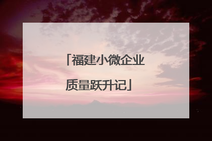 福建小微企业质量跃升记
