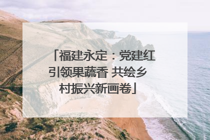 福建永定：党建红引领果蔬香 共绘乡村振兴新画卷
