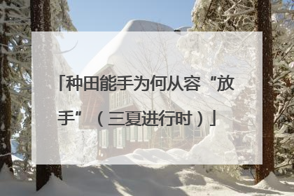 种田能手为何从容“放手”（三夏进行时）